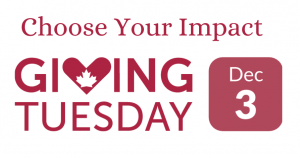 Choose Your Impact: Giving Tuesday December 3rd 2024