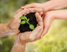 generations-join-hands-to-nurture-a-green-plant-in-2026-01-09-10-15-44-utc